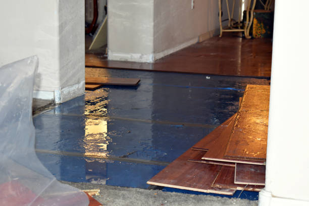 Professional Burst Pipe Cleanup technician working in Cecil, PA